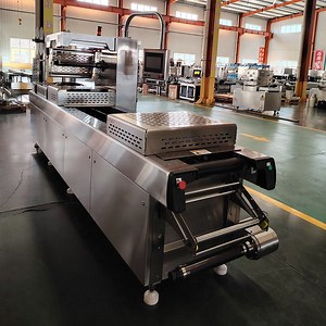 [Hot Item] Cheese Vacuum Packing Machine Thermoforming Packing Machinery