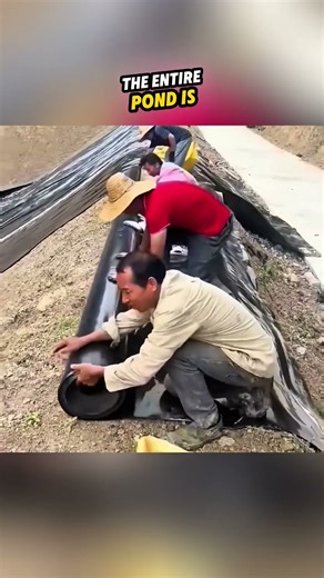 The Secret Behind Ever-Full Ponds 😮 #shorts