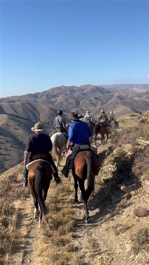 Day 3/7 Cavalcade ‘22 New Zealand #newzealandlife #westernvibes #westernmusic #cowgirl