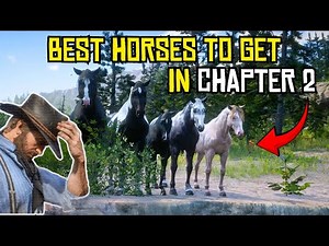 Top 5 Horses You Can Get in Chapter 2 | RDR2