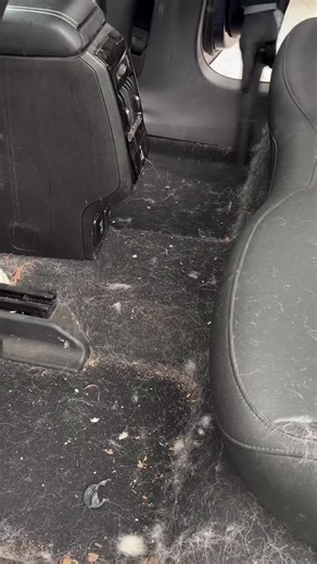 🚘✨ Give Your Car the Care It Deserves! ✨🚘 At The Gentle Gleam , we specialize in professional car detailing services designed to bring back that fresh, showroom shine. Whether your car has stubborn stains, dust build-up, or dull interiors, we’ve got you covered with a thorough cleaning process. ✅ Interior Detailing – Deep vacuuming, dashboard & console polishing, carpet shampooing, seat cleaning (fabric/leather). ✅ Exterior Detailing – Hand wash, waxing, polishing, tire & rim shine for that sp