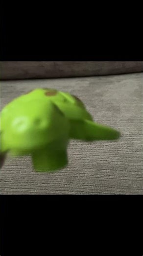 Turtle Screaming Meme.110 subs and 50 views in this videoI’ll do elephant next | Subscribe!