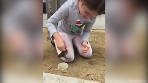 306K views · 8.3K reactions | Good work, Mia! A 6-year-old girl's arms were just the right size to rescue eight ducklings after they fell down a drain pipe. 6abc.com/1287695 | 6abc Action News | Facebook