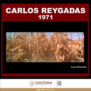 #El22Recuerda al director de cine mexicano Carlos Reygadas, nacido un día como hoy, pero de 1971. ¿#SabíasQue en 2007 recibió el Premio del Jurado en el Festival Internacional de Cine de Cannes por la cinta “Luz silenciosa”? | Canal 22 México