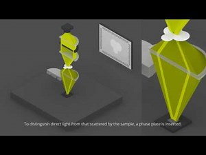 phase contrast and dark field microscopes