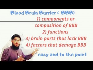 blood brain barrier (BBB) explained in urdu hindi.