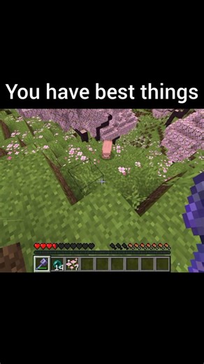 minecraft best things.