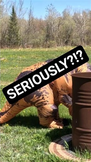 Hide and Seek Struggles, with a dinosaur, pt.2 #shorts #funny #hide