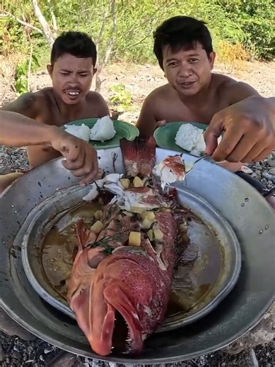 Delicious Steamed Grouper Fish Lunch Experience