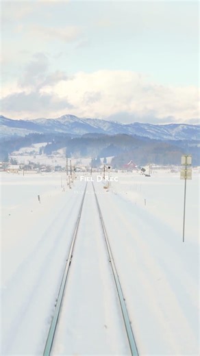 Real Time Snow Train in Japan 🇯🇵❄️ (No AI) #Shorts