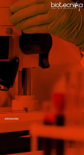 Top 10 Career Opportunities in Biomedical Engineering #biomedicalengineering #bioengineering #career #top10 | Biotecnika