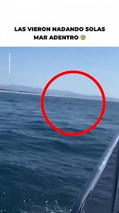 Pensaron que podían nadar solas mar adentro, pero quedaron varadas en medio del océano intentando salir… | El Enigma