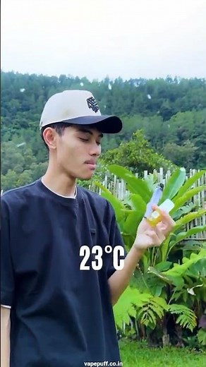 This summer use Elfbar Ice King #elfbar #iceking #cool #vape