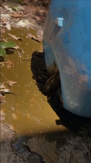 Pressure Tank Replacement | Restoring Reliable Water Pressure #wellpump #wellrepair