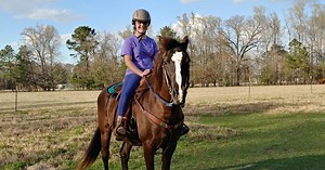 Why You Should Take the Become a Veterinarian Quiz