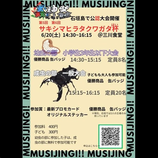[Mushijingi] Official Tournament Held in Ishigaki Island! #Mushijingi #Okinawa #IshigakiIsland #D...