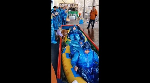 Dog joins owners on inflatable ride down water slide in Liaoning, China