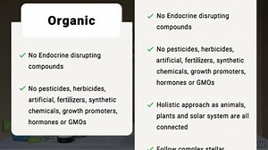 What is Biodynamic wine? How is it different from organic wine? Anne and Ashley tackle this subject today! Listen up, and drink up! Fun fact: Biodynamic farming began 20 years before organic farming  | Conners Clinic | Facebook