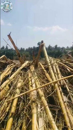 වැල්ලව ගනේවත්ත පාරේ දැදුරැ ඔය පාලම කැඩුණු අයුරැ 😢😩😱.🌊#water#srilanka#sad#sadstatus#sadpoetry#sri