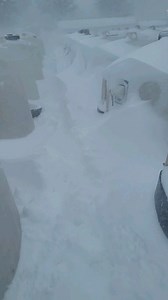 1.6K views · 245 reactions | It may not be so nice outside, but it is nice inside! Feeding milk in the snow is a struggle. Though the calves don't seem to realize the difference, as their bottles still show up, and they get to enjoy a meal of warm milk. Welcome to the snowstorm of 2024 ❄️ | Farmer Girl | Facebook