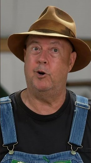 Weevil Infestation VS Smoke Bomb 💨 #shorts #moonshiners