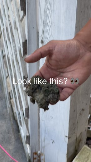 What?! You have to change your filter sand? I had no idea! We get this response a lot and yes, you do! Changing pool filter sand is important because the sand loses its effectiveness over time, leading to reduced filtration and potentially cloudy or dirty pool water. As sand ages, it becomes smoother and can no longer trap debris as efficiently, and it can also develop channeling, where water bypasses the sand, further reducing filtration. Recommend change is approximately 3 years. Ask more ques