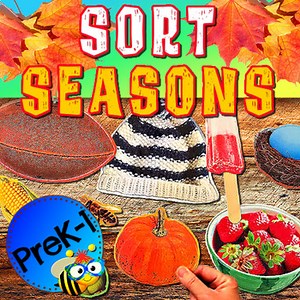 Seasons Sorting Identify Winter Spring Summer Fall Preschool Kindergarten