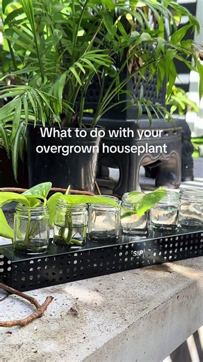 Been meaning to make this