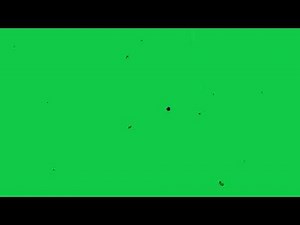 Dust & Scratches | Green Screen | For Aesthetic Editing | old film grain overlay | scratches