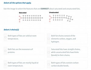 Select all the options that apply.Use the image to select the... | Filo