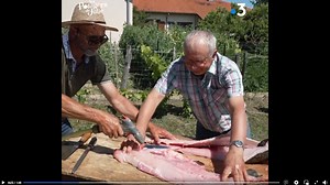 Vidéo : Fumer les filets de silure