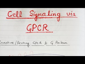 Cell Signaling/ Signal Transduction via GPCR