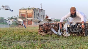 35K views · 1.7K reactions | #রেসার_টস_ট্রেনিং। Vlog #173  আমার ফেসবুক আইডি লিংক ➡️ https://www.facebook.com/RacingPigeonMadinaLoft/ আমাদের লফ্টের Facebook Page লিংক➡️ https://www.facebook.com/pigeonracingloft  আমার You Tube চ্যানেল লিংক ➡️ https://www.youtube.com/BDRacingPigeon | BD Racing Pigeon | Facebook