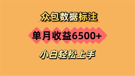 任务众包数据标注项目，单月收益6500 ，保姆级教程小白轻松上手