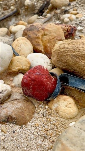 I found a red jasper stone, the red color is very bright, very beautiful #beautiful #redjasper