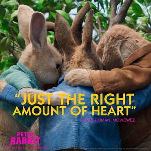 Peter Rabbit is irresistibly entertaining and full of adventure. Get ready for a FUN movie night! Peter Rabbit is now available on Blu-ray and Digital. 🐰🥕 #PeterRabbitMovie http://sonypictures.us/s1xciv | Peter Rabbit Movie