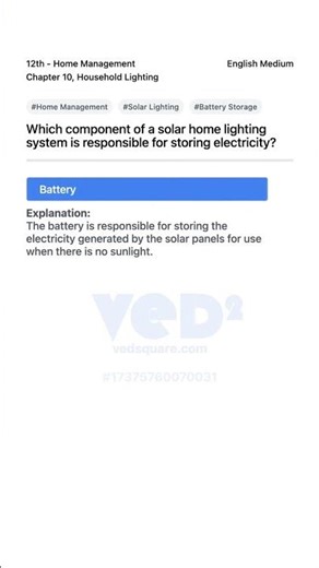 12th Home Management Solar Lighting Battery Role