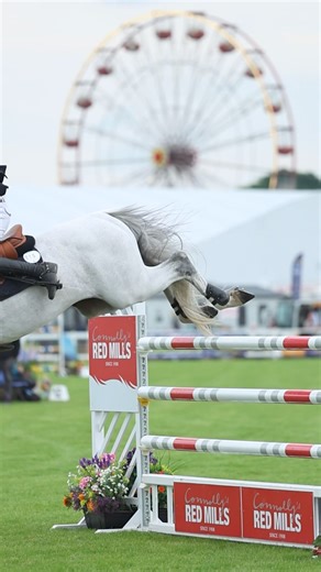 10K views · 124 reactions |  We caught up with Jason Foley after his win in the RED MILLS International Spectacular at Balmoral Show on board Durango VDL  The pair jumped an incredible round to take the win in the 2024 Connolly’s RED MILLS International Spectacular ( @aisling.creative) #FeedYourDesireToWin | Connolly's RED MILLS | Facebook