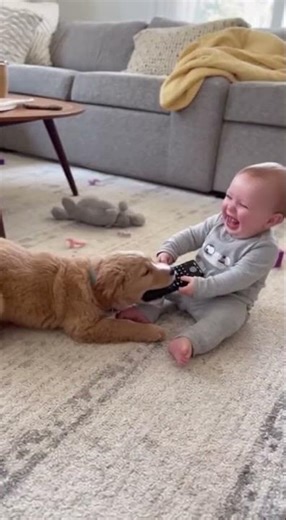 Remote Control Battle! 🎮🐶👶 Baby vs Dog
