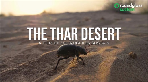 5.4K views · 74 reactions | The arid expanse of the Thar Desert is...