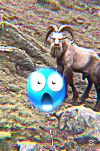 Top Weird and Amazing Shots That Will Blow Your Mind!