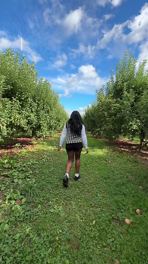 Visit Barton Orchards for NYC Fall Fun