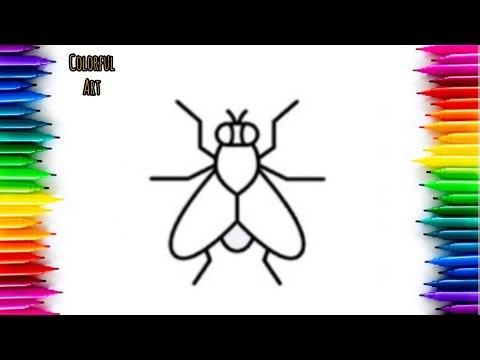 Fly Drawing Coloring | Simple & Relaxing Art