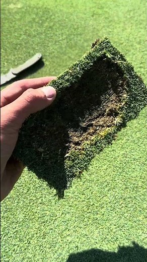 Satisfying divot repair #golf #repair #maintenance #howto #golfcourse #lawncare #asmr