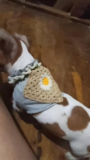 Crochet dog dress #onion #jackrussellterrier | Erminda Saguid