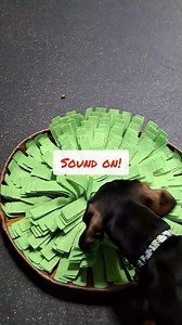 29 reactions | Maverick, a recent graduate of our Puppy Package...