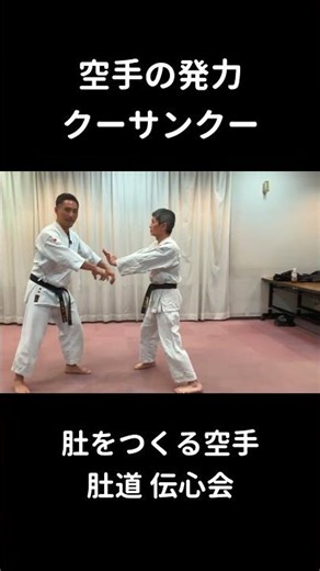 空手の発力（クーサンクー）#発力 #發力 #当破
