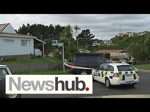 Man dies after being shot by police responding to Wellington incident | Newshub