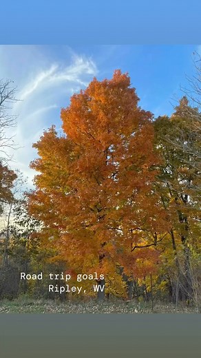 Conveniently situated along I77, Ripley is an easy drive for your day or weekend road trips. We encourage you to explore our beautiful area and discover our quaint downtown district. | Ripley, WV Convention & Visitor Bureau