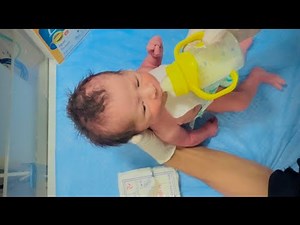 How to give formula feeding to a neonate baby in NICU step by step guidance